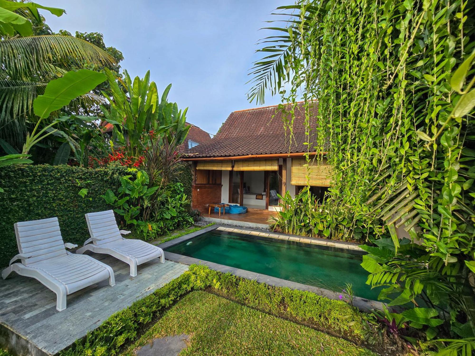 Private Pool Superior Villa Rice Field View