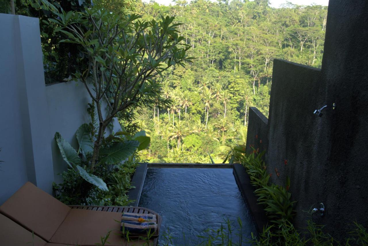 Superior One-Bedroom Jungle View Villa Plunge Pool