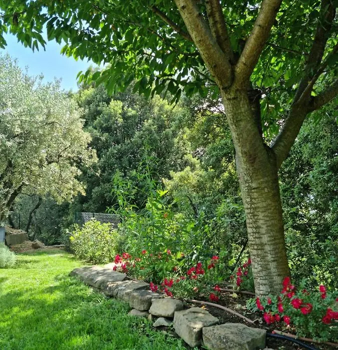 Villa Le Ginestre-1