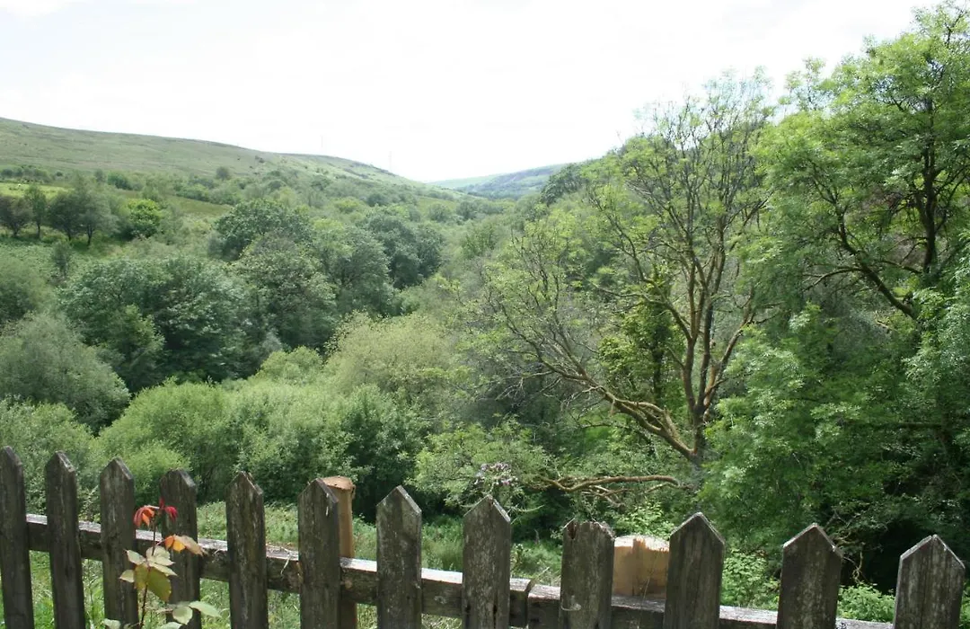 Coynant Farm Guesthouse - Farm Park Stay-1