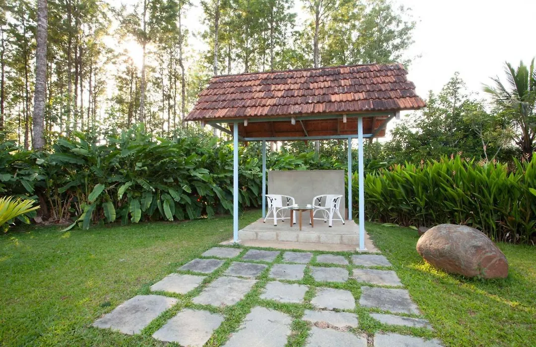 Stayvista At Cedar - Strelitzia 2Bhk With Breakfast And Jacuzzi-1
