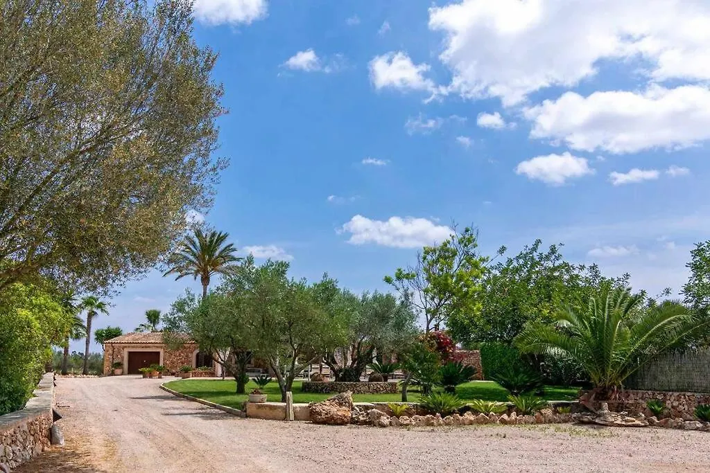 Villa Sanchez-1