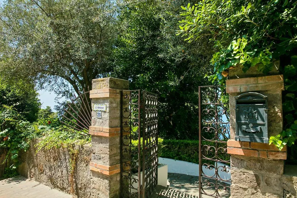 Villa Hibiscus-1
