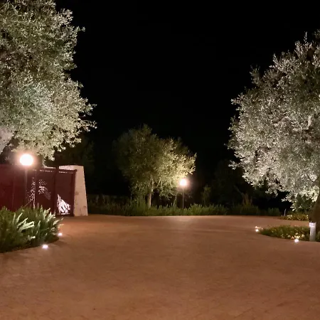 Tra gli ulivi-3