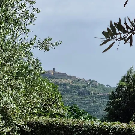 Villa Le Ginestre-3