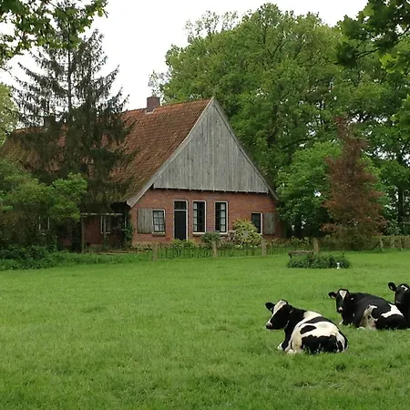 Erve het Otman-3