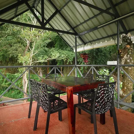Misty Forest Resort Wayanad-3