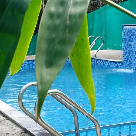 Misty Forest Resort Wayanad-2