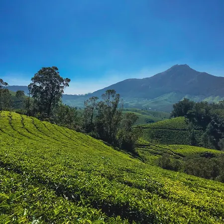 Munnar Valley View-2