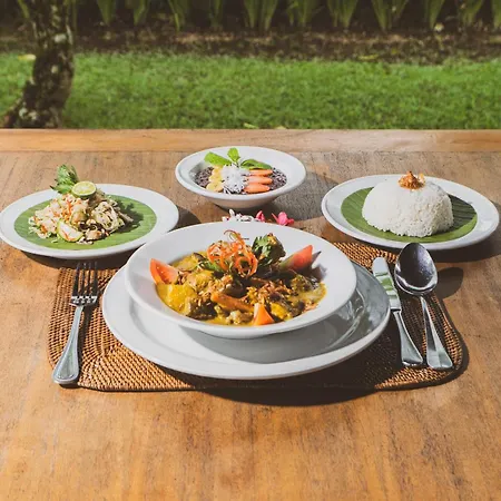 Alpin Resort And Villa Ubud-2