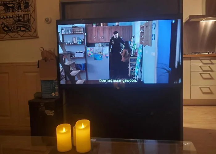 Villa met zwembad: Vakantiebungalow De Schaapskooi