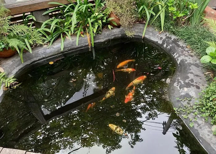 Alojamento com o café da manhã Apenas: Pousada Zilah