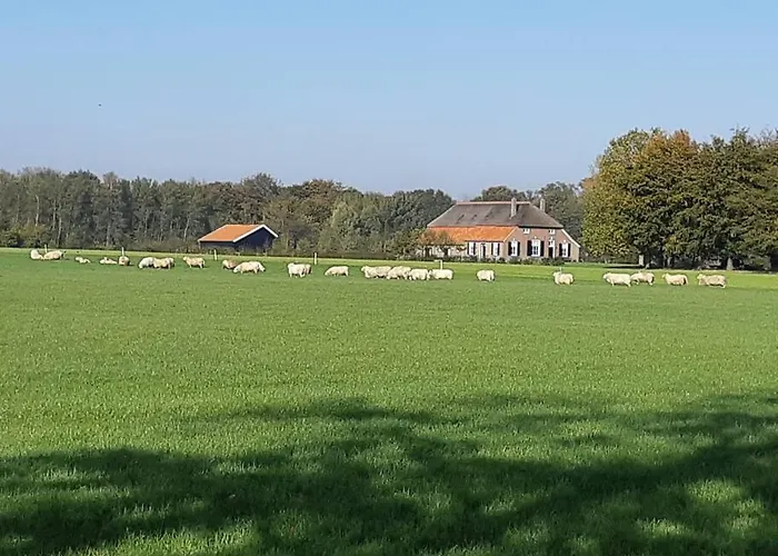 B&B Joostink In Vorden