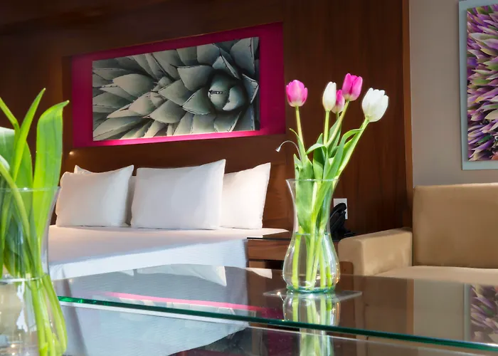 Hotel de lujo: Krystal Grand Los Cabos - All Inclusive