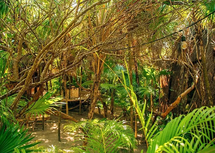 Ikal Tulum