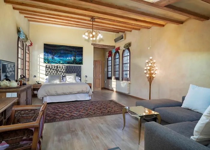 Villa privada: Mas Moli Petit