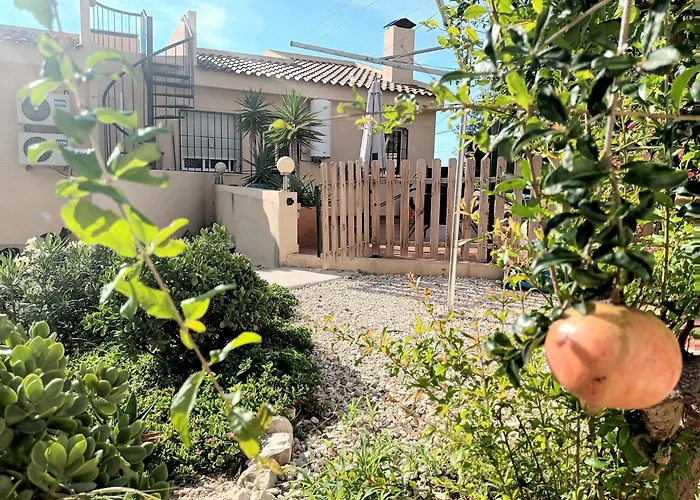 Villa con piscina: Guesthouse En Coveta Fuma- El Campello