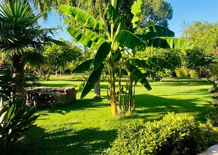 Hotel pres du College: Le Cocoon Lodge Du Gapeau & Massage