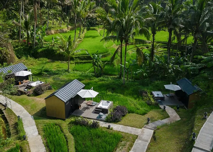 Pet Friendly hotel: Bobocabin Ubud, Bali