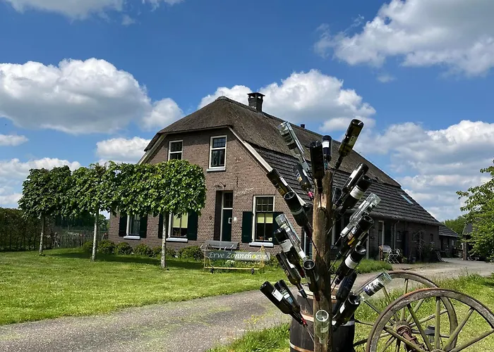 Familiehotel: Erve Zonnehoeve B&B en Wijngaard