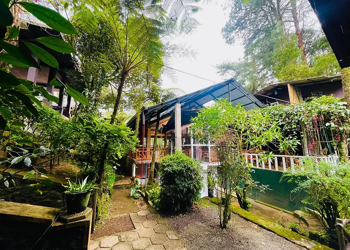 Guest house: King Fern Cottage