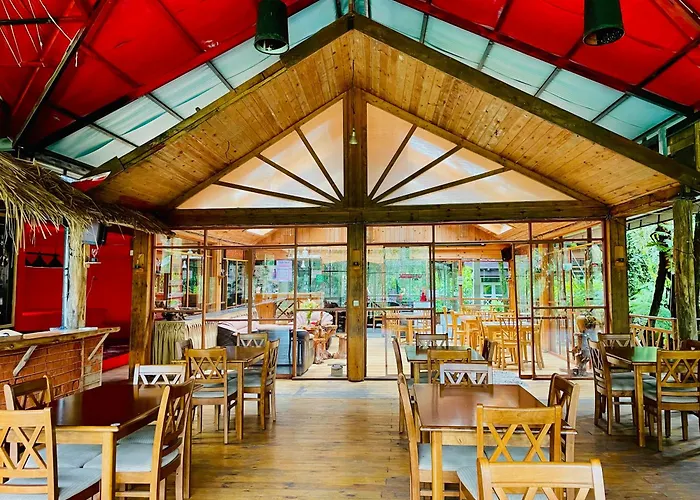Guest house: King Fern Cottage