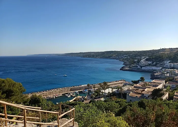  Degli Ulivi