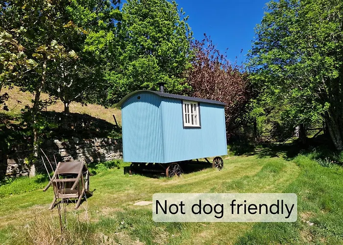 Bungalow rentals Craskie Glamping Pods