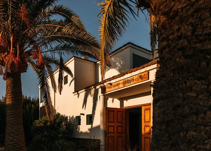 Perros hoteles Surfescape Fuerteventura