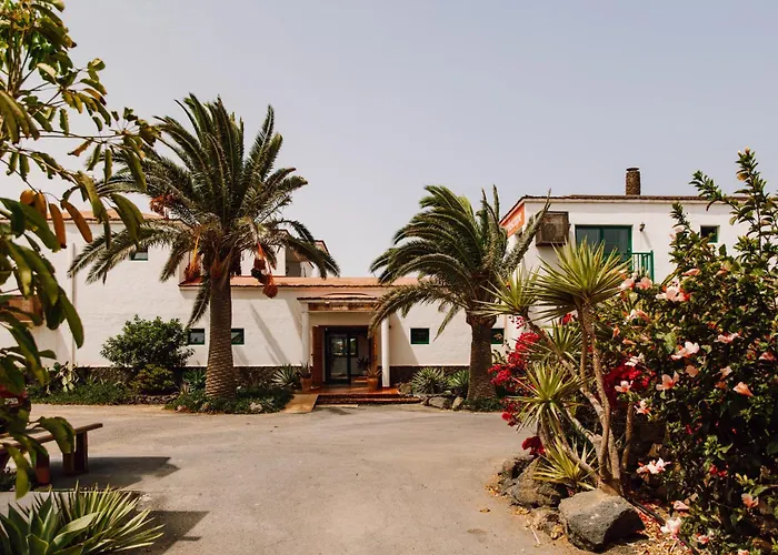 Perros hoteles Surfescape Fuerteventura