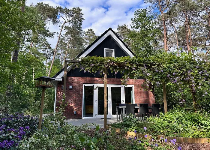 Vliegend Hert Veluwe
