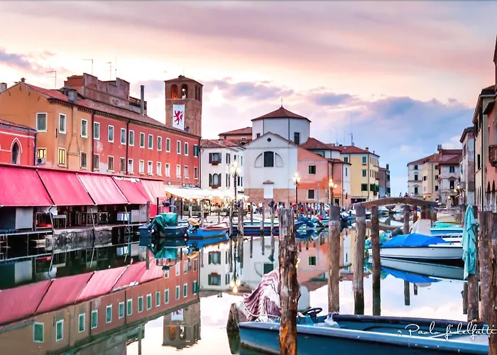 Hotel adatto agli animali: Hotel Clodia