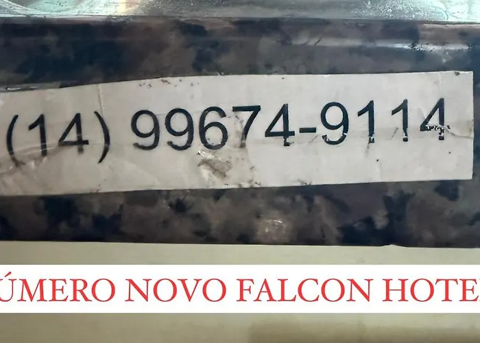 Hotel do aeroporto: Falcon Hotel