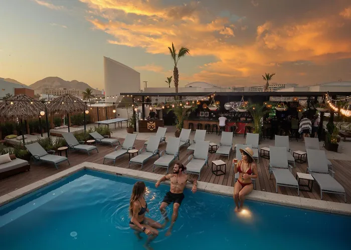 Mayan Monkey Los Cabos