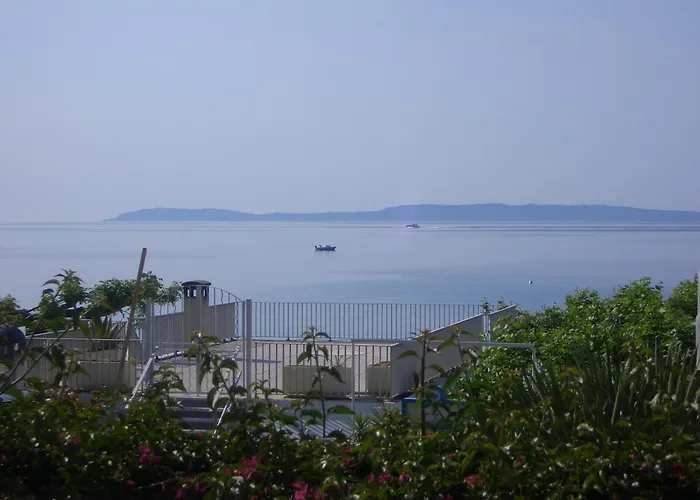 Hôtel accueillant les animaux: Hôtel Beau Soleil