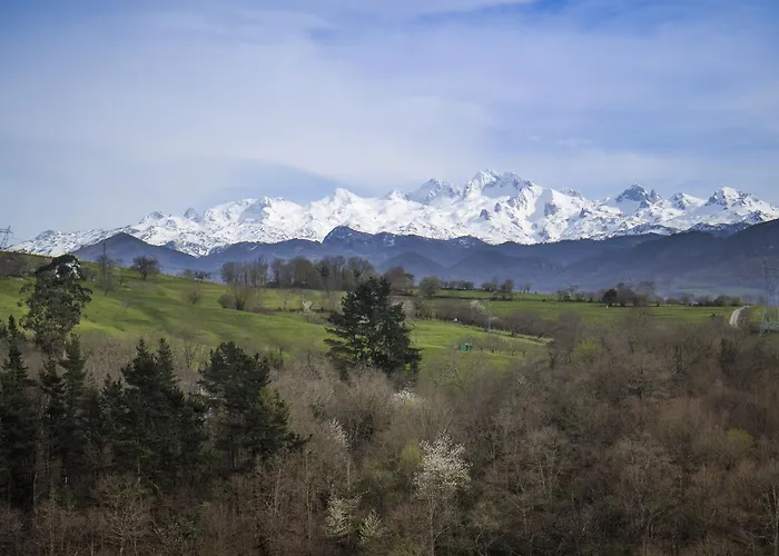 Hotel que admite mascotas: Hotel Montañas de Covadonga