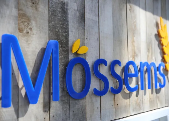 Moessems