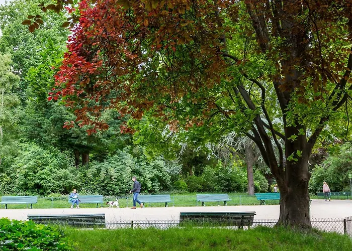 Veeve - The Botanical Island