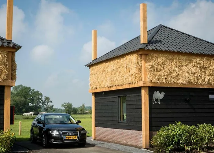 Camping Nieuw Romalo